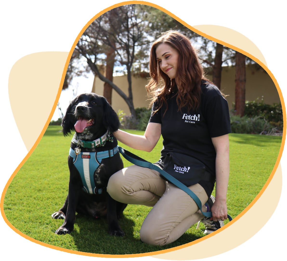 Pet Sitter in Fairmount, CO